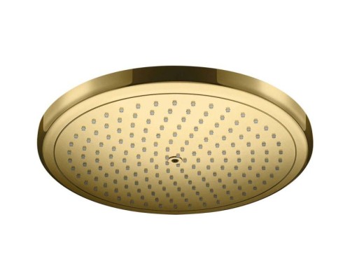 Верхний душ Hansgrohe Croma золото 26220990