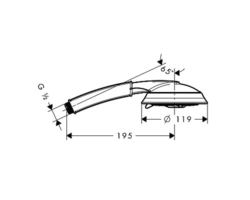 Душевая лейка Hansgrohe Raindance Classic хром 28548090