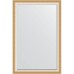 Зеркало Evoform Exclusive 176х116 BY 1221 с фацетом в багетной раме - Травленое золото 87 мм