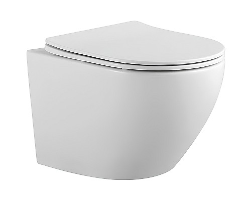 Унитаз Aquatek Европа AQ1901-00 подвесной с сиденьем Микролифт