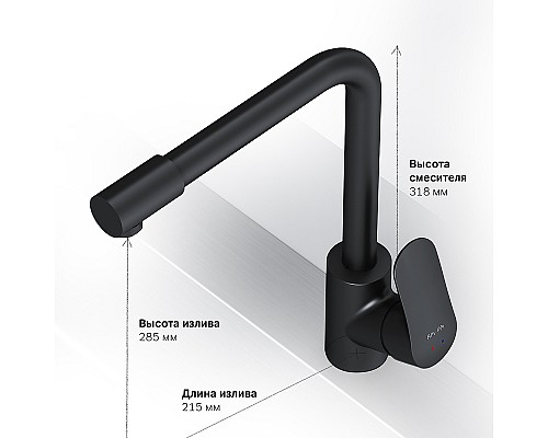 Смеситель для кухни AM.PM Like F8005722 Черный