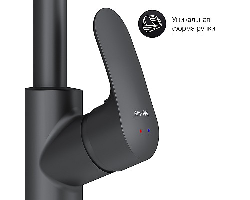 Смеситель для кухни AM.PM Like F8005722 Черный