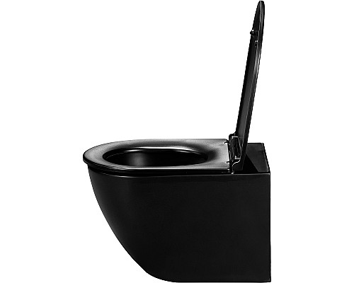 Унитаз WellWant Aura WWU01122B подвесной с сиденьем Микролифт