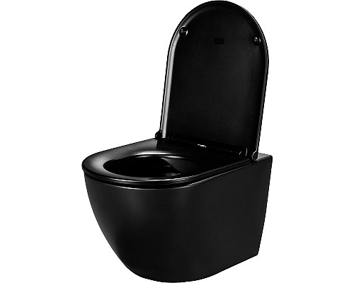 Унитаз WellWant Aura WWU01122B подвесной с сиденьем Микролифт