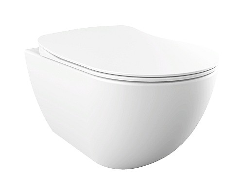 Унитаз биде Creavit Free FE320-00MB00E-0000 подвесной Белый матовый без сиденья