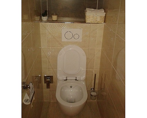 Унитаз биде Creavit Free FE322-00CB00E-0000 подвесной Белый без сиденья