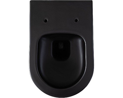 Унитаз Allen Brau Priority 4.31001.31 подвесной Черный матовый без сиденья