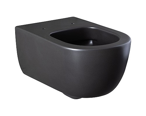 Унитаз Allen Brau Priority 4.31001.31 подвесной Черный матовый без сиденья