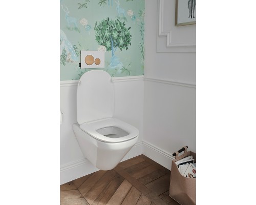 Комплект унитаза Jacob Delafon Modern Life E21774RU-00 с сиденьем Микролифт