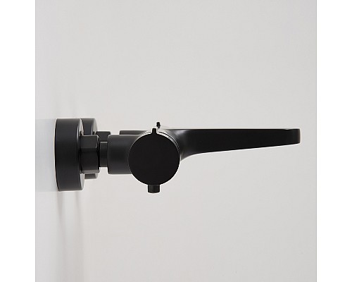 Смеситель для ванны WasserKRAFT Elbe 7411 Thermo с термостатом Черный