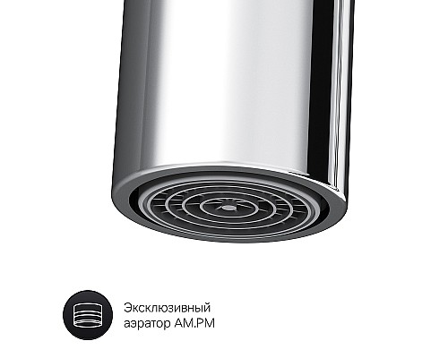 Смеситель для кухни AM.PM Like F8006000 Хром