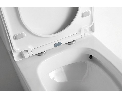 Унитаз компакт CeramaLux NS-2178 с бачком и сиденьем Микролифт