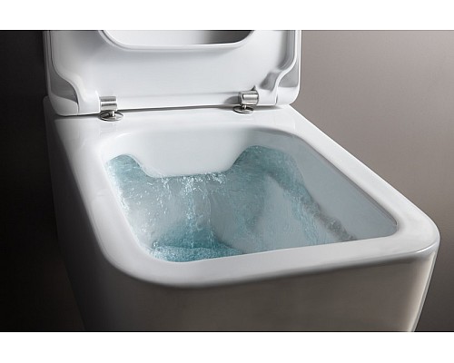 Чаша Laufen Pro Rimless 8.2096.2.000.000.1