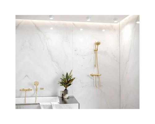 Мыльница Hansgrohe AddStoris 41746990 Полированное золото