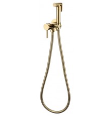 Смеситель встраиваемый с гигиеническим душем Grocenberg GB001 Золото