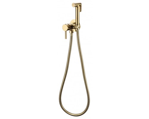 Смеситель встраиваемый с гигиеническим душем Grocenberg GB001 Золото