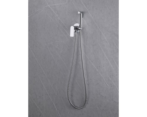 Гигиенический душ со смесителем Abber Weiss Insel AF8025 Хром