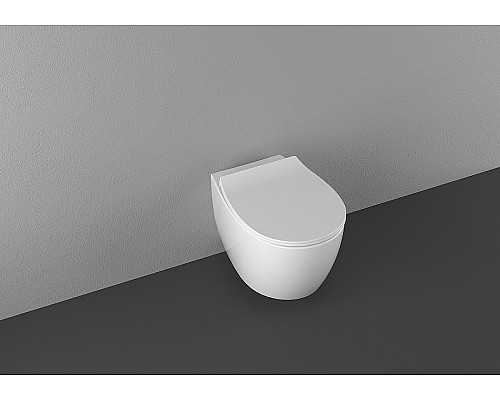 Унитаз Allen Brau Fantasy 4.11004.20 подвесной Белый без сиденья