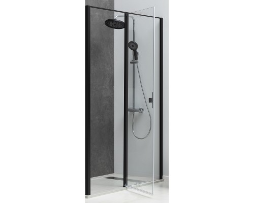 Душевая дверь Allen Brau Priority 160 3.31039.BBA профиль Черный браш стекло прозрачное