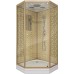 Душевая кабина Niagara Lux 100x100 NG-7702DG без гидромассажа