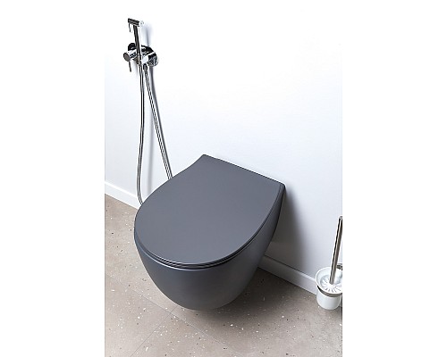 Унитаз Allen Brau Fantasy 4.11004.AN подвесной Антрацит без сиденья