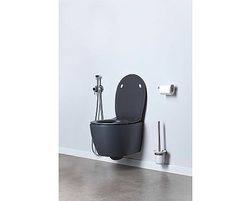 Унитаз Allen Brau Fantasy 4.11004.AN подвесной Антрацит без сиденья