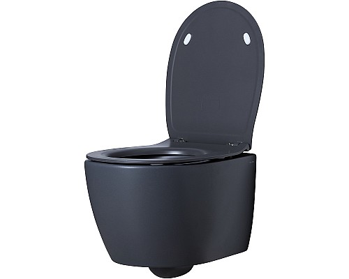 Унитаз Allen Brau Fantasy 4.11004.AN подвесной Антрацит без сиденья