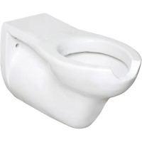 Унитаз для МГН Nofer H50 подвесной без сиденья