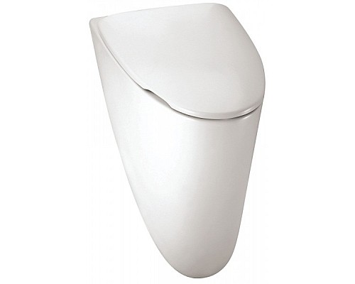 Писсуар Jacob Delafon 30,6 х 53 х 29,5 см E1161-00