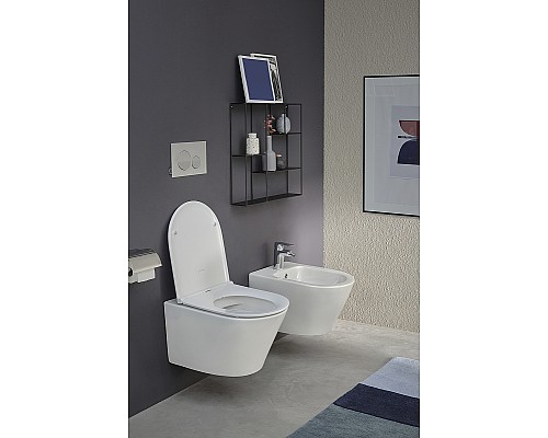 Унитаз Jacob Delafon Rodin+ EDY102-00 подвесной без сиденья