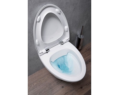 Подвесной унитаз Jacob Delafon без обода (54 х 39 см) EDJ10200