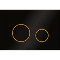 Клавиша смыва Veconi Round Design VFRD-BLG Черная матовая Золото матовое