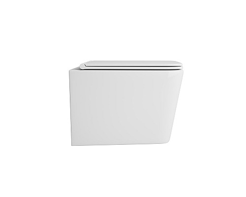 Унитаз подвесной безободковый OWL Vatter Ruta-H OWLT190401 с сиденьем DP микролифт