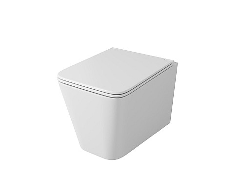 Унитаз подвесной безободковый OWL Vatter Ruta-H OWLT190401 с сиденьем DP микролифт