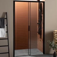 Душевая дверь Aquanet Pleasure 150 273599 Черный матовый