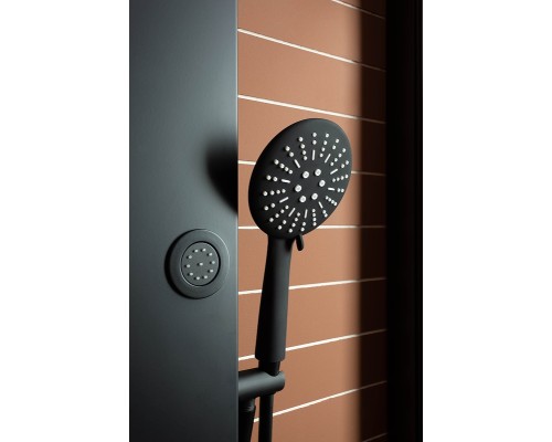 Душевая дверь Aquanet Pleasure 150 273599 Черный матовый