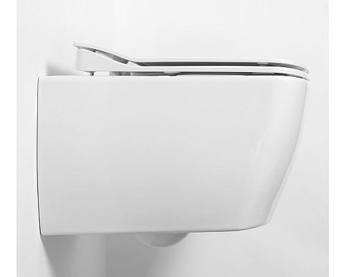 Унитаз биде Creavit Elegant EG321-00CB00E-0000 подвесной Белый без сиденья