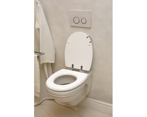 Унитаз Devon&Devon Rose IBWCSRO подвесной без сиденья