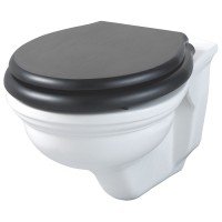 Унитаз Devon&Devon Rose IBWCSRO подвесной без сиденья