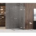 Душевое ограждение NEW TRENDY AVEXA 100x90x200 (хром)