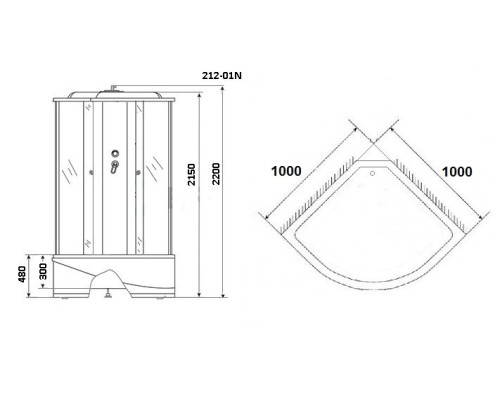 Душевая кабина Niagara Standart + NG-212-01N 100x100