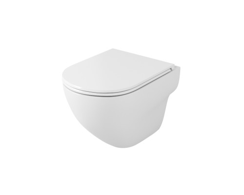 Унитаз подвесной OWL Wave Cirkel-H OWLT190801 с сиденьем DP микролифт