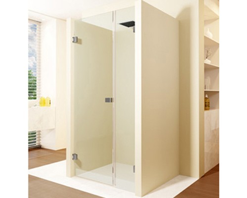 Душевая дверь Riho SZ Scandic NXT X101 80 L (GX08002C1) Хром