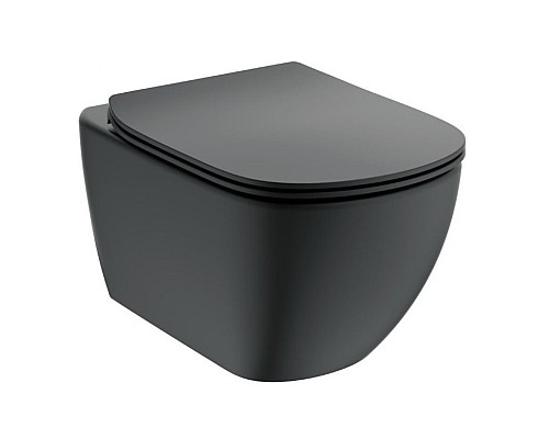 Сиденье с крышкой для унитаза Ideal Standard Tesi Черный