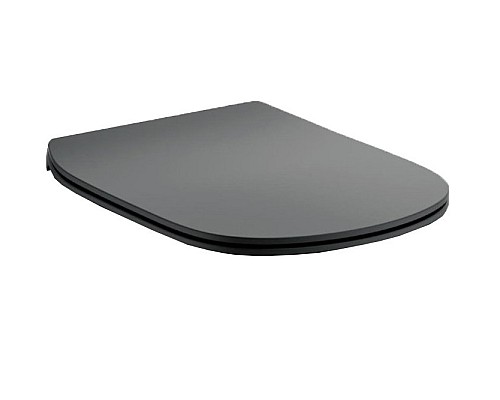 Сиденье с крышкой для унитаза Ideal Standard Tesi Черный