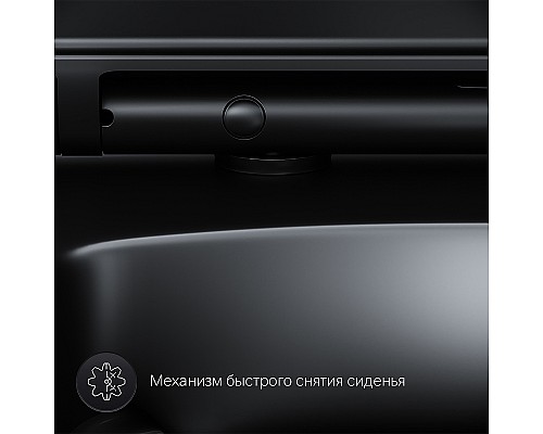 Унитаз AM.PM Inspire V2.0 C50A1700MBSC подвесной Черный матовый с сиденьем микролифт