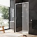 Душевая дверь AM.PM Gem Solo 110 W90G-110-1-195MM Хром матовый