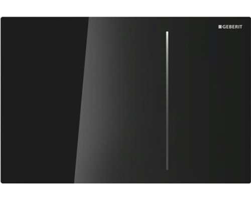 Кнопка смыва GEBERIT Sigma 70