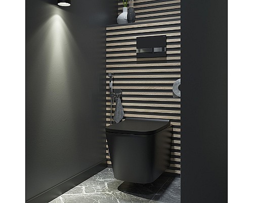 Унитаз Iddis Bild BILR2BMi25 подвесной с сиденьем Микролифт