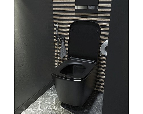 Унитаз Iddis Bild BILR2BMi25 подвесной с сиденьем Микролифт